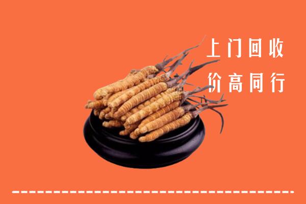 高价求购：塔城回收散虫草