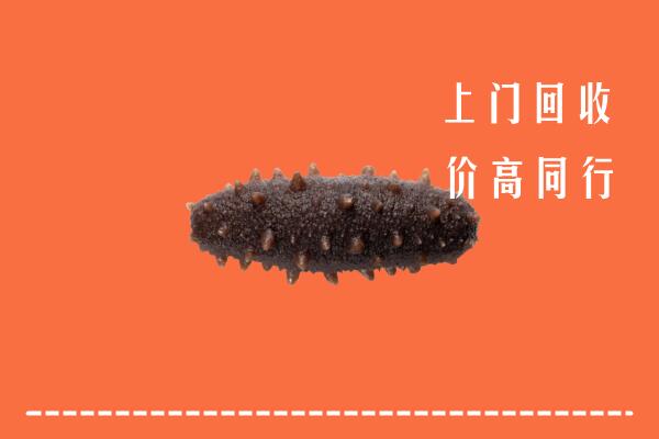 高价求购：塔城回收海参
